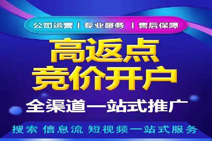 百度竞价赚钱的五大策略及成功案例解读