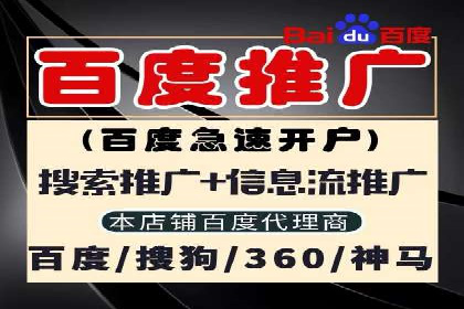 热门SEM运营公司案例深度剖析